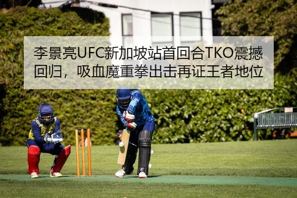 李景亮UFC新加坡站首回合TKO震撼回归，吸血魔重拳出击再证王者地位